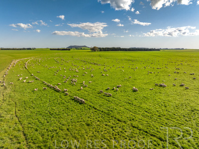 October 2022 / Mt-Shank-221018--59-2