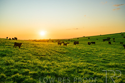 October 2022 / Mt-Shank-221018--59-3