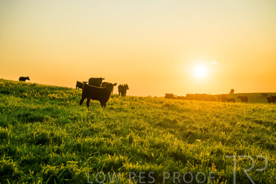 October 2022 / Mt-Shank-221018--60-3