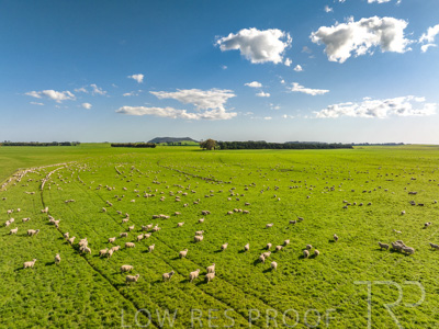 October 2022 / Mt-Shank-221018--61-2