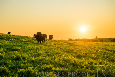 October 2022 / Mt-Shank-221018--61-3