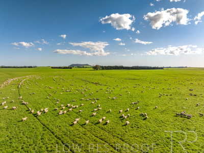 October 2022 / Mt-Shank-221018--62-2