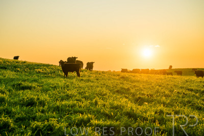 October 2022 / Mt-Shank-221018--62-3