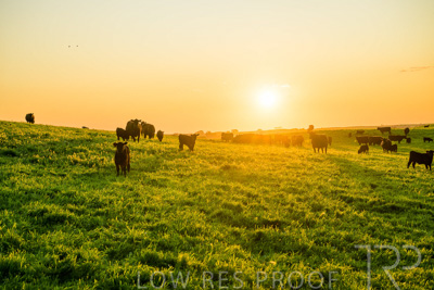 October 2022 / Mt-Shank-221018--63-2