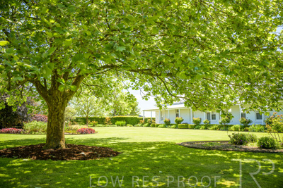 October 2022 / Mt-Shank-221018--63