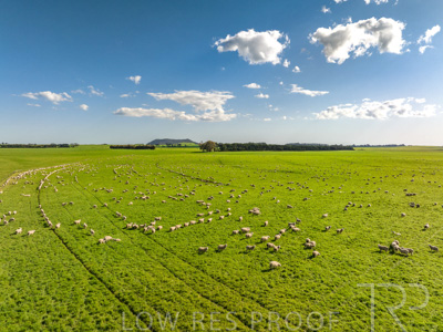 October 2022 / Mt-Shank-221018--64-2