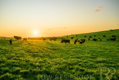 October 2022 / Mt-Shank-221018--64-3