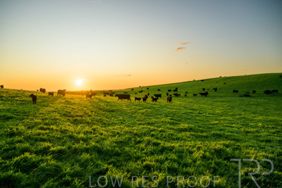 October 2022 / Mt-Shank-221018--65-2