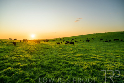 October 2022 / Mt-Shank-221018--67-2