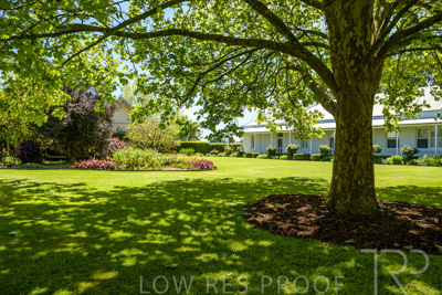 October 2022 / Mt-Shank-221018--68-2