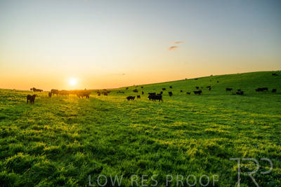 October 2022 / Mt-Shank-221018--68-3