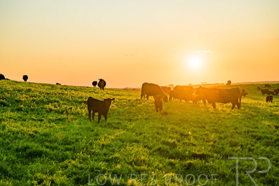 October 2022 / Mt-Shank-221018--69-3