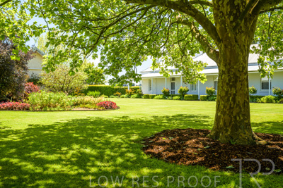 October 2022 / Mt-Shank-221018--70-2