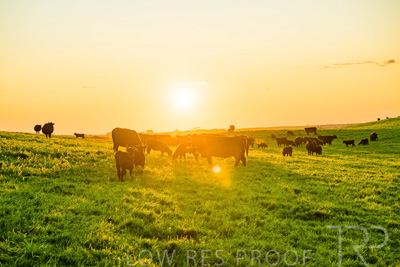 October 2022 / Mt-Shank-221018--70-3