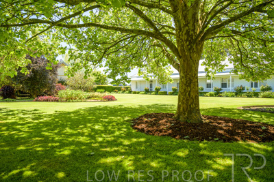 October 2022 / Mt-Shank-221018--71-2