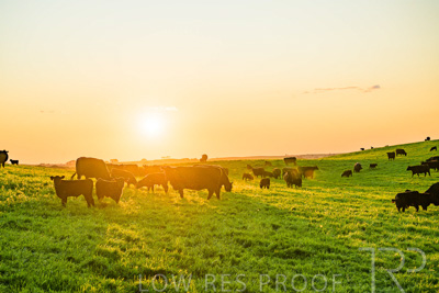 October 2022 / Mt-Shank-221018--71-3