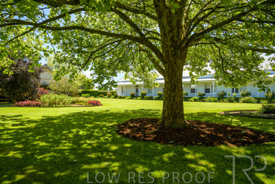 October 2022 / Mt-Shank-221018--72-2