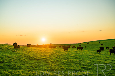 October 2022 / Mt-Shank-221018--72-3