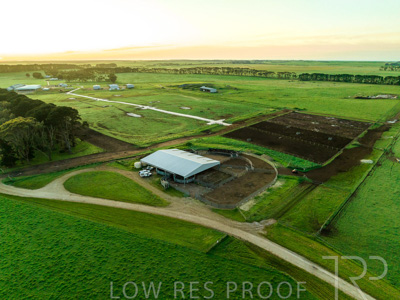 October 2022 / Mt-Shank-221018--72