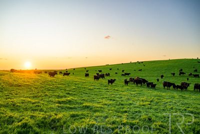 October 2022 / Mt-Shank-221018--73-3