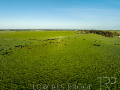 October 2022 / Mt-Shank-221018--73