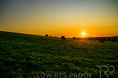 October 2022 / Mt-Shank-221018--74-3