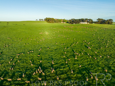 October 2022 / Mt-Shank-221018--74