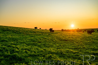 October 2022 / Mt-Shank-221018--75-3