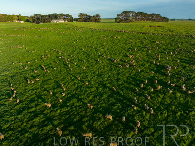 October 2022 / Mt-Shank-221018--75