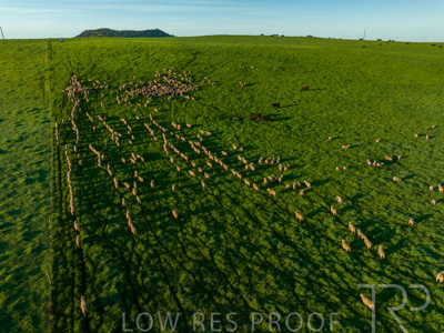 October 2022 / Mt-Shank-221018--76