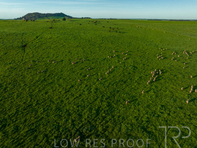 October 2022 / Mt-Shank-221018--77