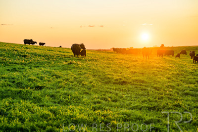 October 2022 / Mt-Shank-221018--78-2