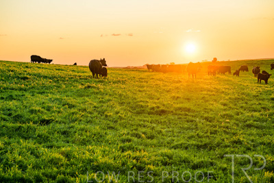 October 2022 / Mt-Shank-221018--79-3