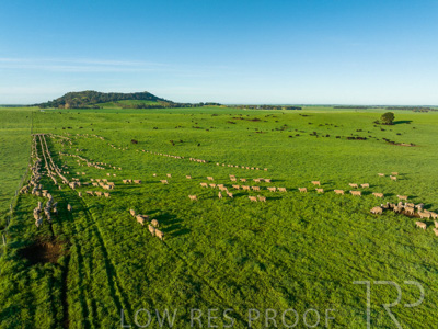 October 2022 / Mt-Shank-221018--79