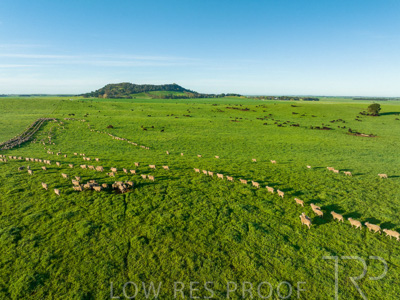 October 2022 / Mt-Shank-221018--80