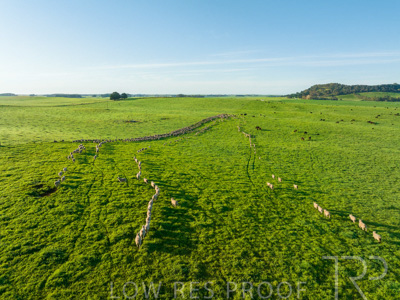 October 2022 / Mt-Shank-221018--81