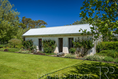 October 2022 / Mt-Shank-221018--83-2