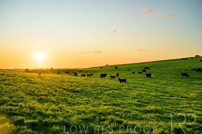 October 2022 / Mt-Shank-221018--83-3