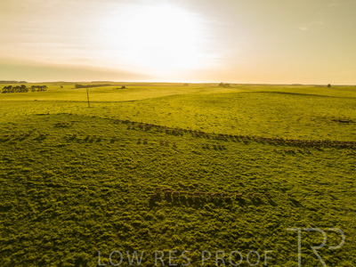 October 2022 / Mt-Shank-221018--83