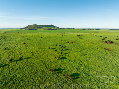 October 2022 / Mt-Shank-221018--84