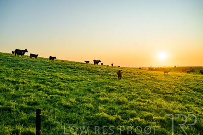 October 2022 / Mt-Shank-221018--85-2