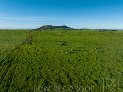 October 2022 / Mt-Shank-221018--86