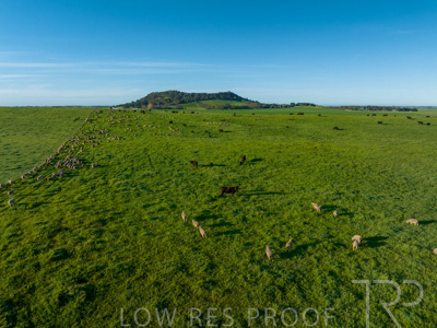 October 2022 / Mt-Shank-221018--87