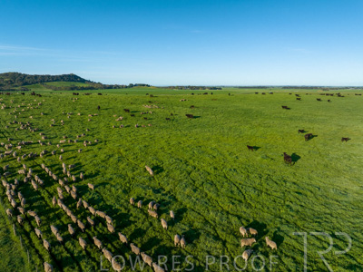 October 2022 / Mt-Shank-221018--88