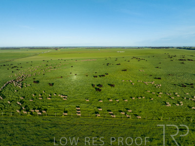 October 2022 / Mt-Shank-221018--89