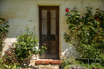 October 2022 / Mt-Shank-221018--90-2