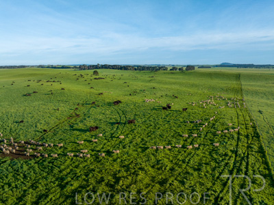 October 2022 / Mt-Shank-221018--90