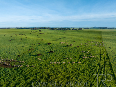 October 2022 / Mt-Shank-221018--91