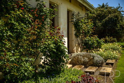 October 2022 / Mt-Shank-221018--92