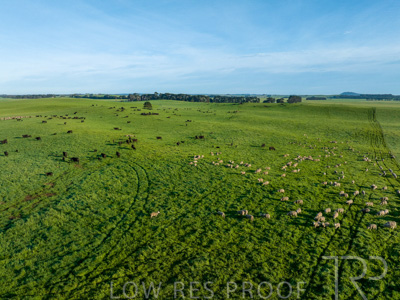 October 2022 / Mt-Shank-221018--93